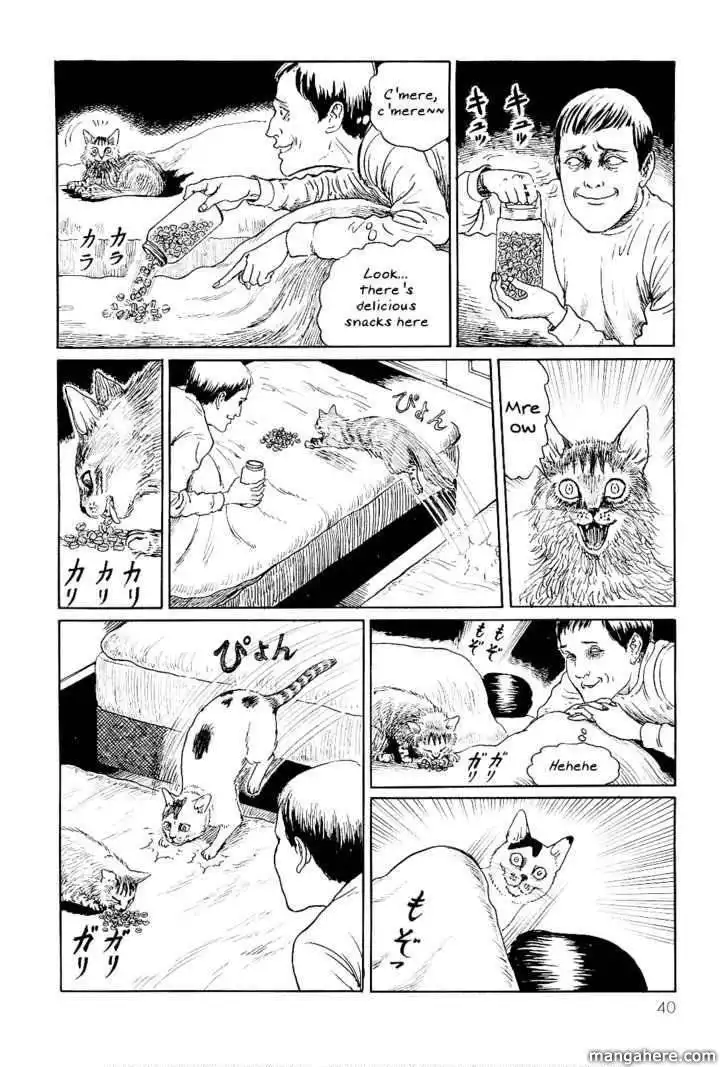 Ito Junji's Cat Diary Chapter 4
