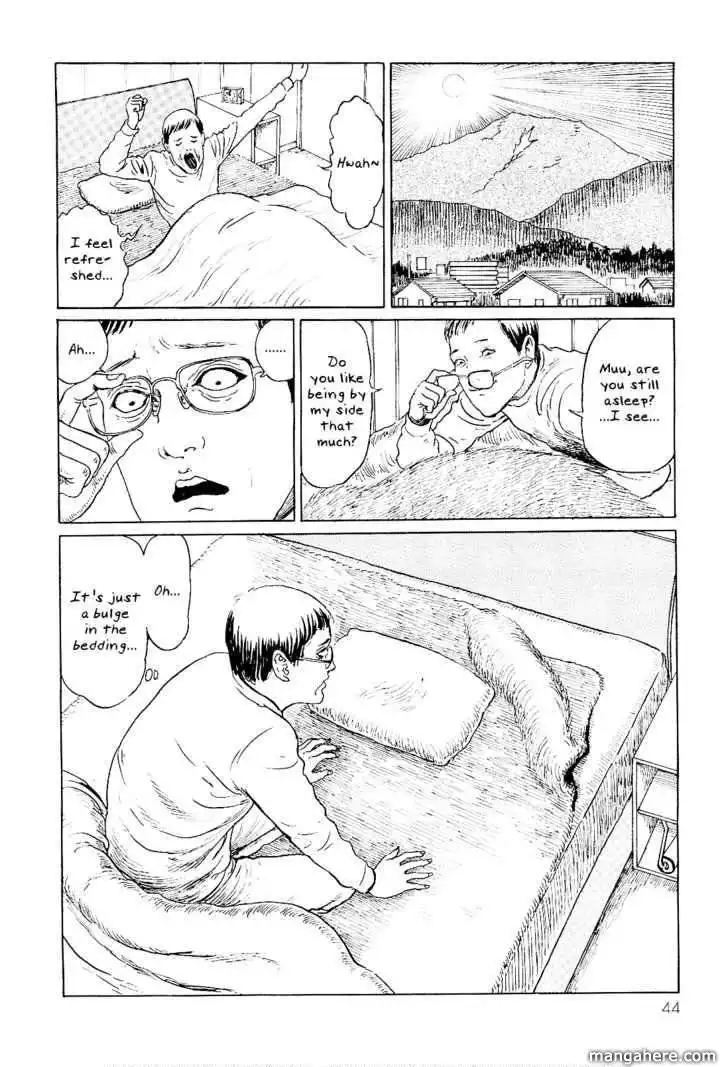 Ito Junji's Cat Diary Chapter 4
